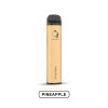 Gunnpod 2000 Puffs Disposable Vape Kit